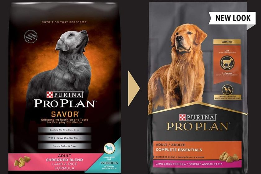 5 Best High Fiber Dog Food Options of 2021 for Better Digestive Health