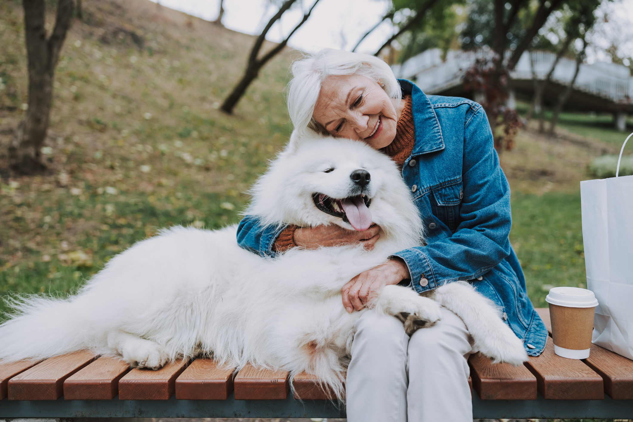 Samoyed allergies store