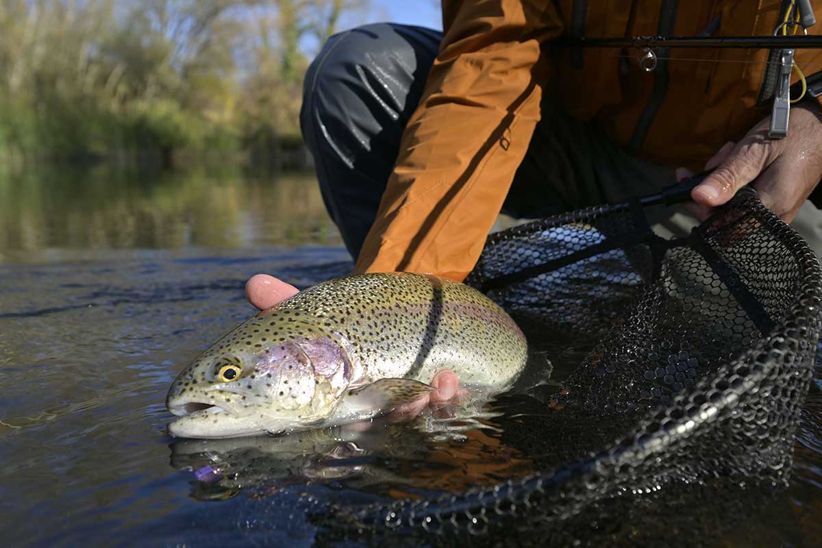 Trout Fishing in America The Best Places to Go and Some Tips You Might