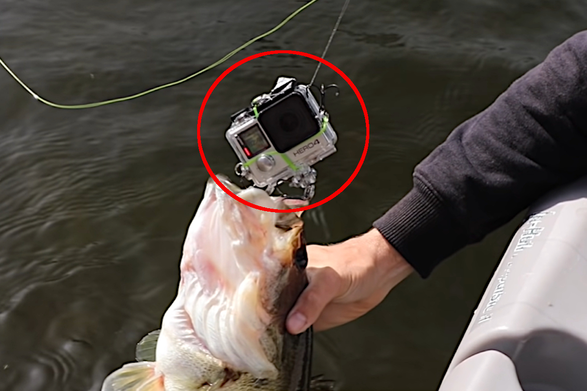 Fishing Line Camera, Fishing Lure Camera