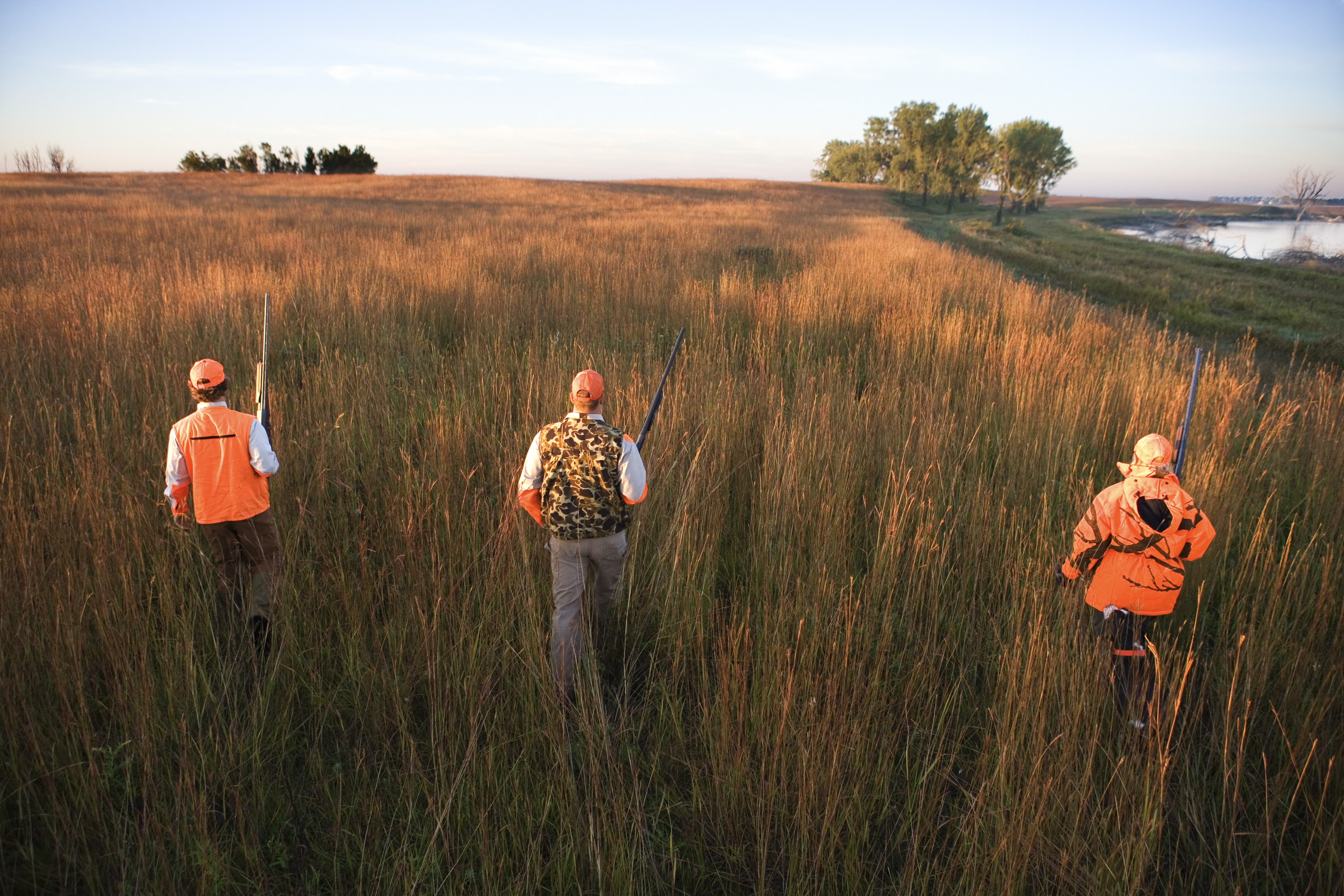 Finding the field