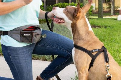 paw lifestyles dog treat training pouch easily carries pet toys