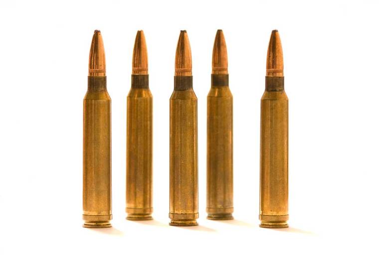 300 Winchester Magnum: All There is to Know About the Caliber - Wide ...