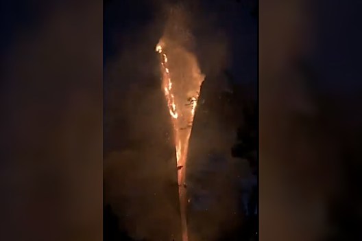 Tree Burns And Splits Perfectly In Half After Lightning Strike Wide Open Spaces 