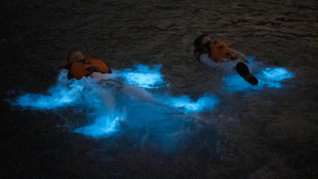 Puerto Rico's Bioluminescent Bays Make for an Otherworldly Experience ...