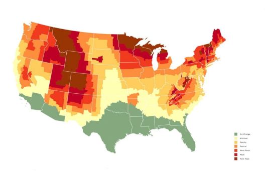 Leaf-Peeping This Fall: Tips for Better Views and Less Frustration