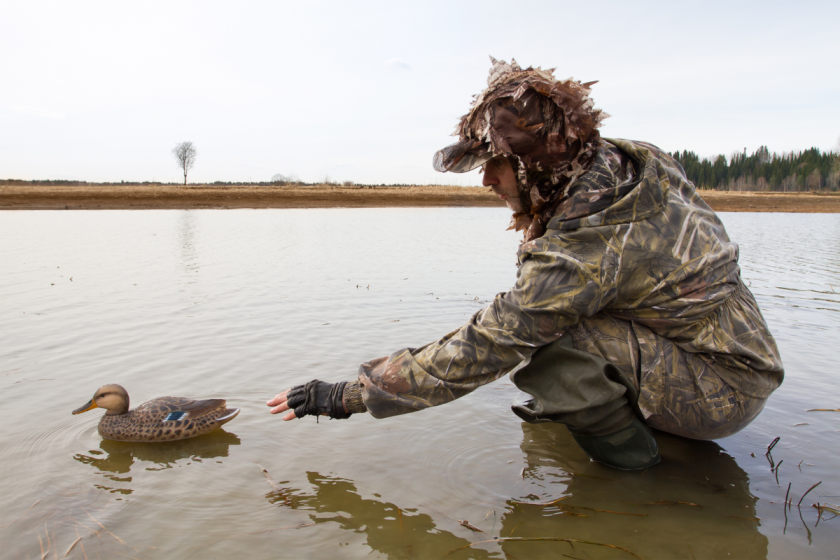 Duck Decoy Spreads: 12 Best Strategies to Lure Them In