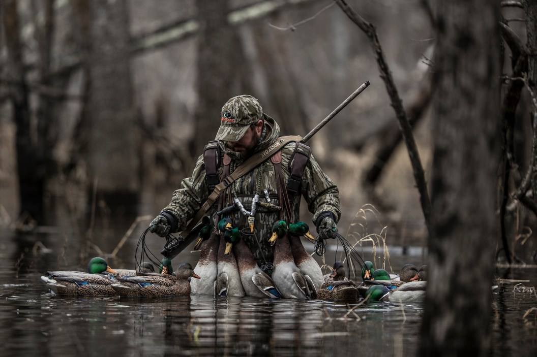 Louisiana Duck Hunting 101 Where to Go, What to Know Wide Open Spaces