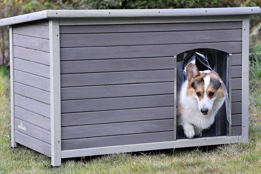 Heated Dog House: Keep Fido Warm With The Top Houses of 2022