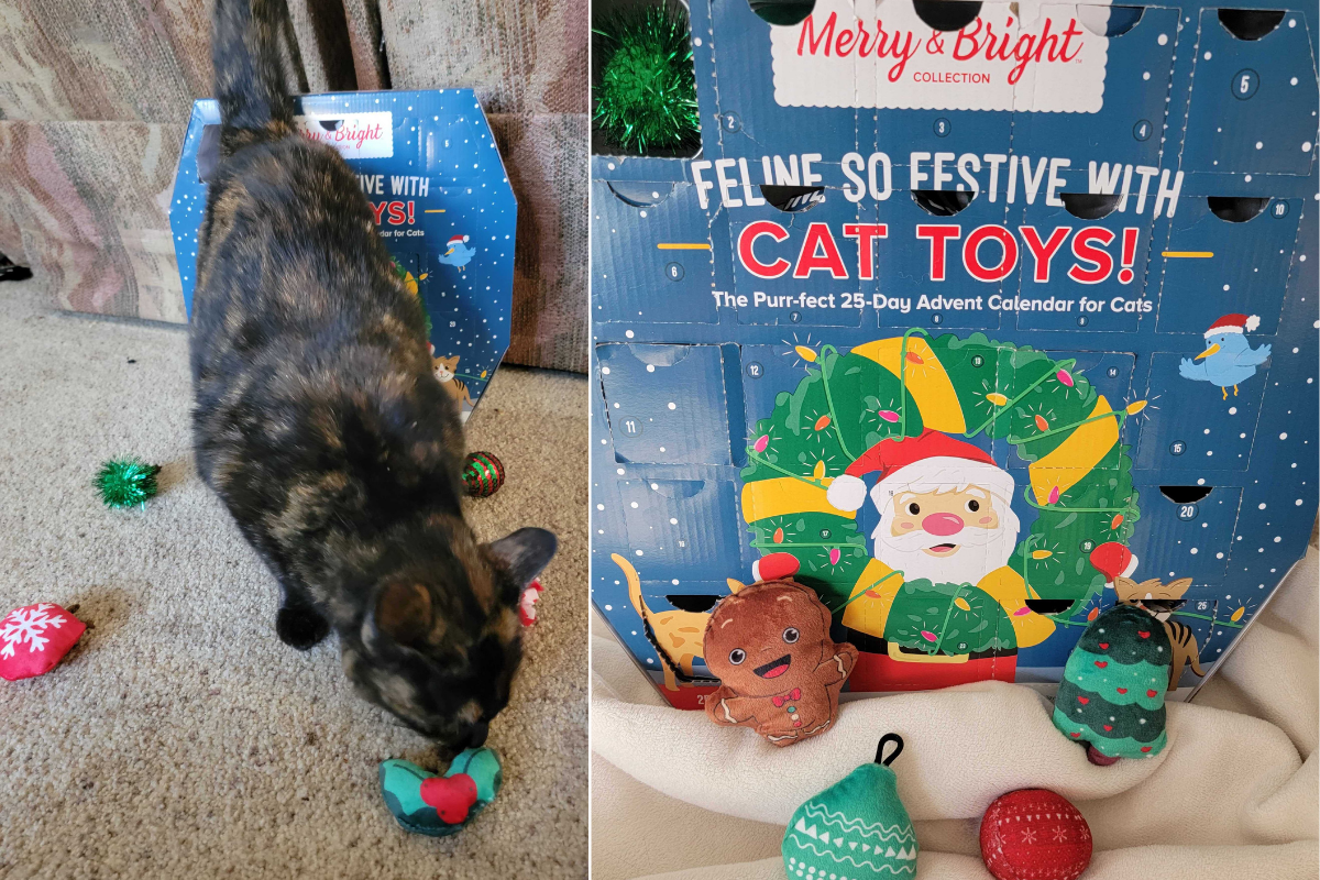 Merry & Bright's Cat Toy Christmas Advent Calendar is 25 Days of Fun!