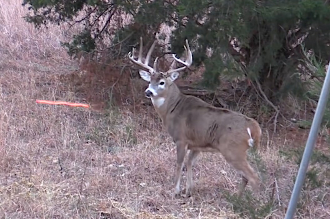 7 Ways to Deal With Boredom During a Slow Hunt - Wide Open Spaces