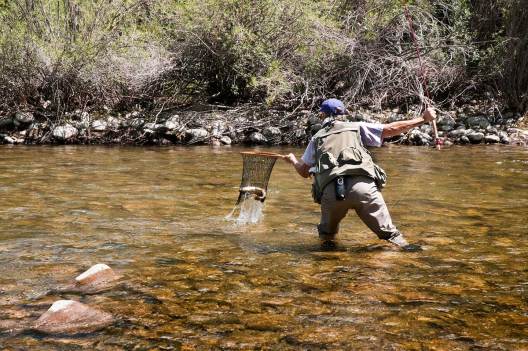 Fly Fishing Nets Are an Essential Piece of Angling Gear