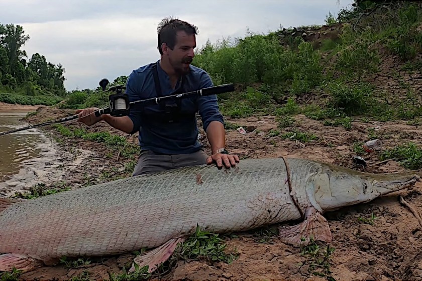 Remember This Massive Texas Alligator Gar? - Wide Open Spaces