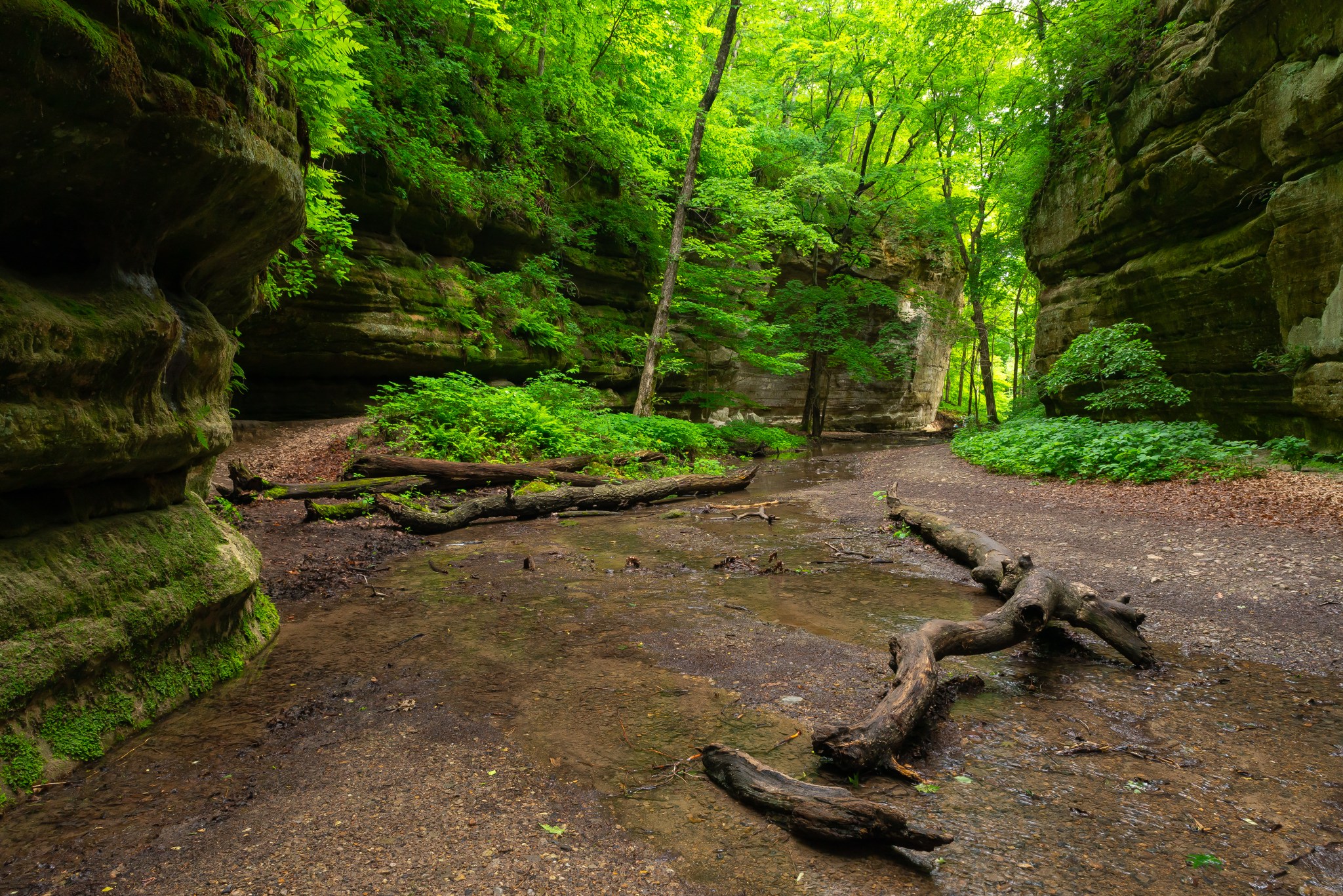 7-cool-state-parks-near-chicago-worth-visiting-this-summer