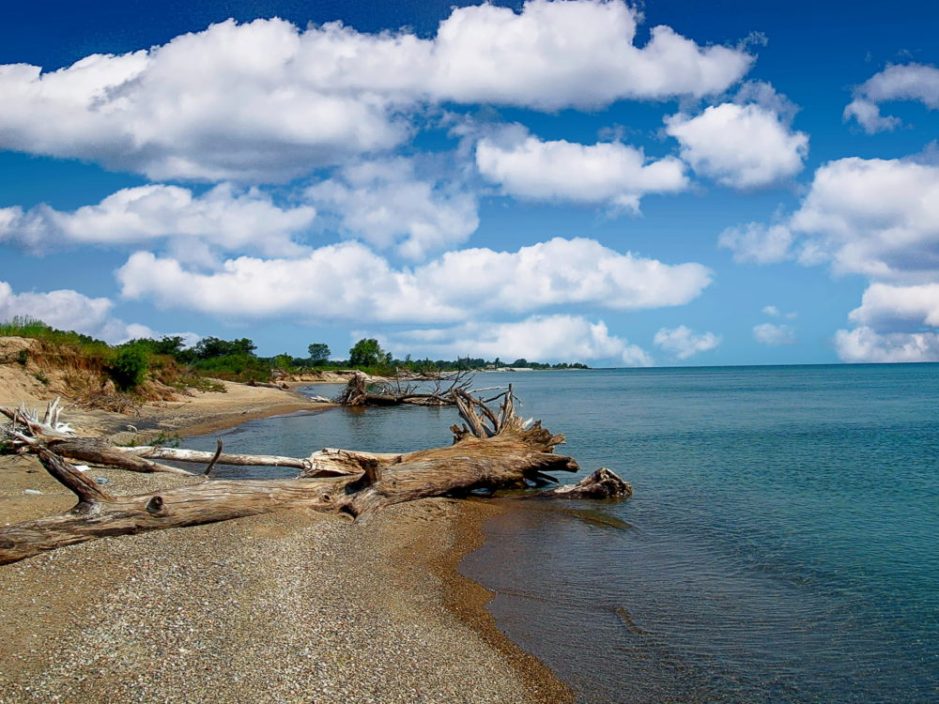 7 Cool State Parks Near Chicago Worth Visiting This Summer