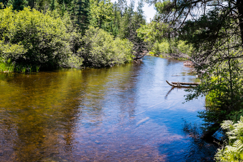 The Top 5 Trout Streams That Should Be on Every Angler's Bucket List