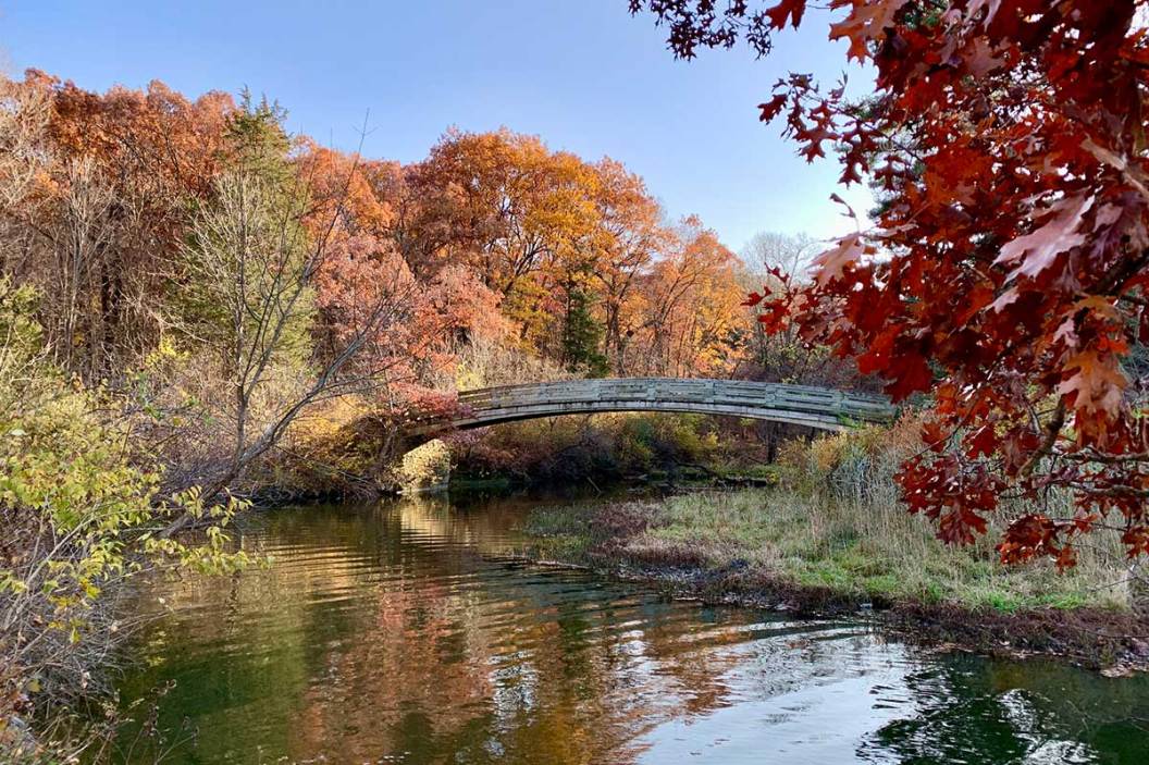 5 State Parks Near Chicago