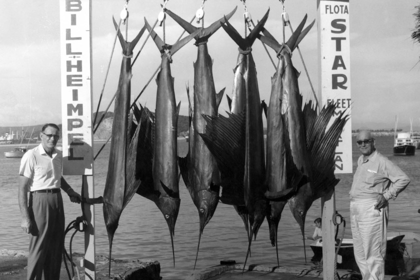 History Of The IGFA And What They Do For Sportfishing