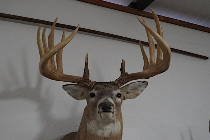 The General: The World Record Nebraska Whitetail Known Only By Sheds