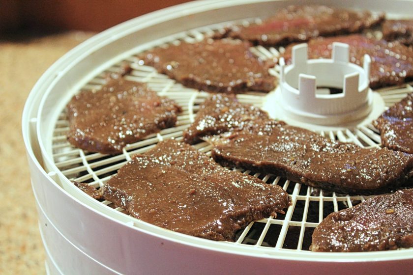 Never Waste Food Again With The Best Food Dehydrator