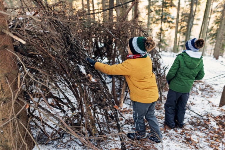 8 Fun and Engaging Wilderness Skills to Teach to Kids While Camping