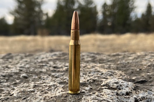 .30-06 vs .308: What Makes Each Cartridge Unique