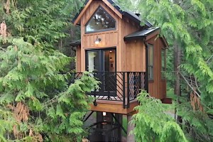 Man Converts Simple Shed Into Incredible Off-Grid Tiny House