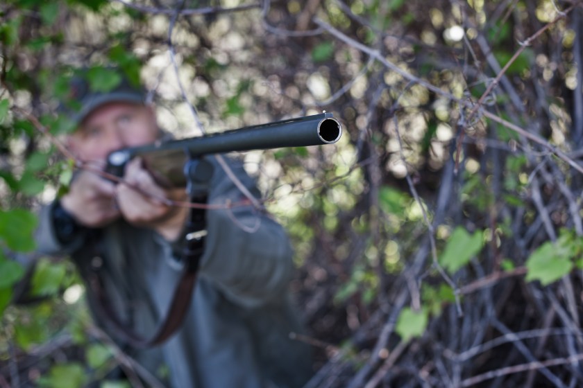 5 Reasons to Dove Hunt Using a Single Shot - Wide Open Spaces