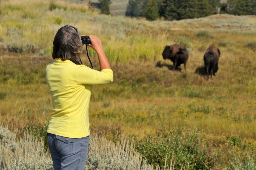 National Park Dos and Donts: How to Act While Exploring the Outdoors