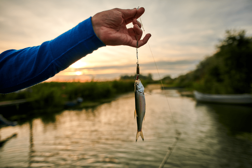 What is Micro Fishing? Take a Plunge Into the World of Tiny Tackle