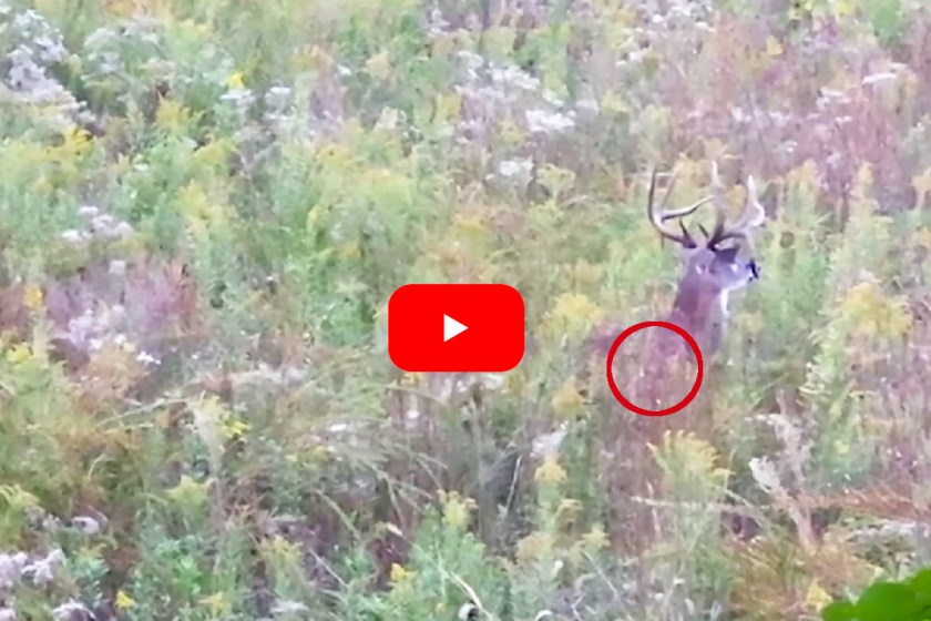 Clever Hay Bale Blind Will Fool Most Farm Deer