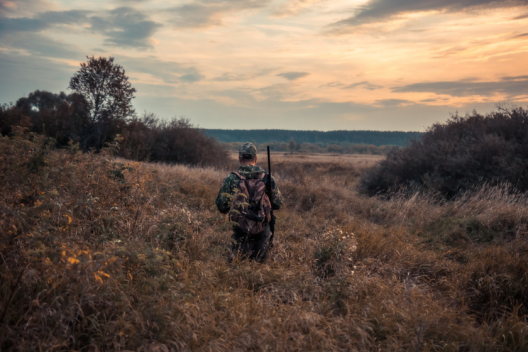 Colorado Squirrel Hunting Advice From an Expert