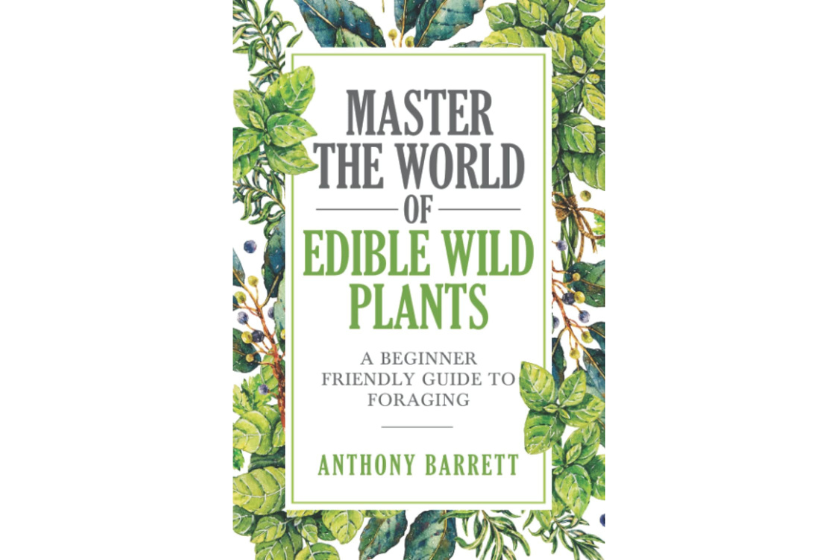 Best Foraging Books: 7 Titles Every Forager Needs To Read