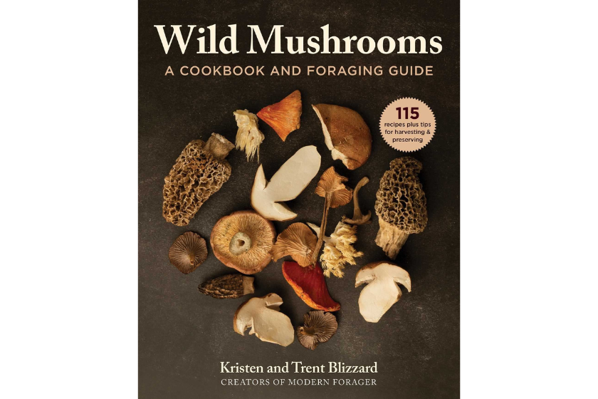 Best Foraging Books: 7 Titles Every Forager Needs To Read