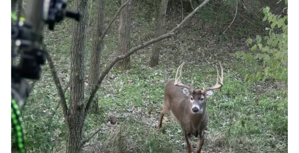 Watch: Hunter Makes Perfect Shot on 180-Inch Illinois Buck