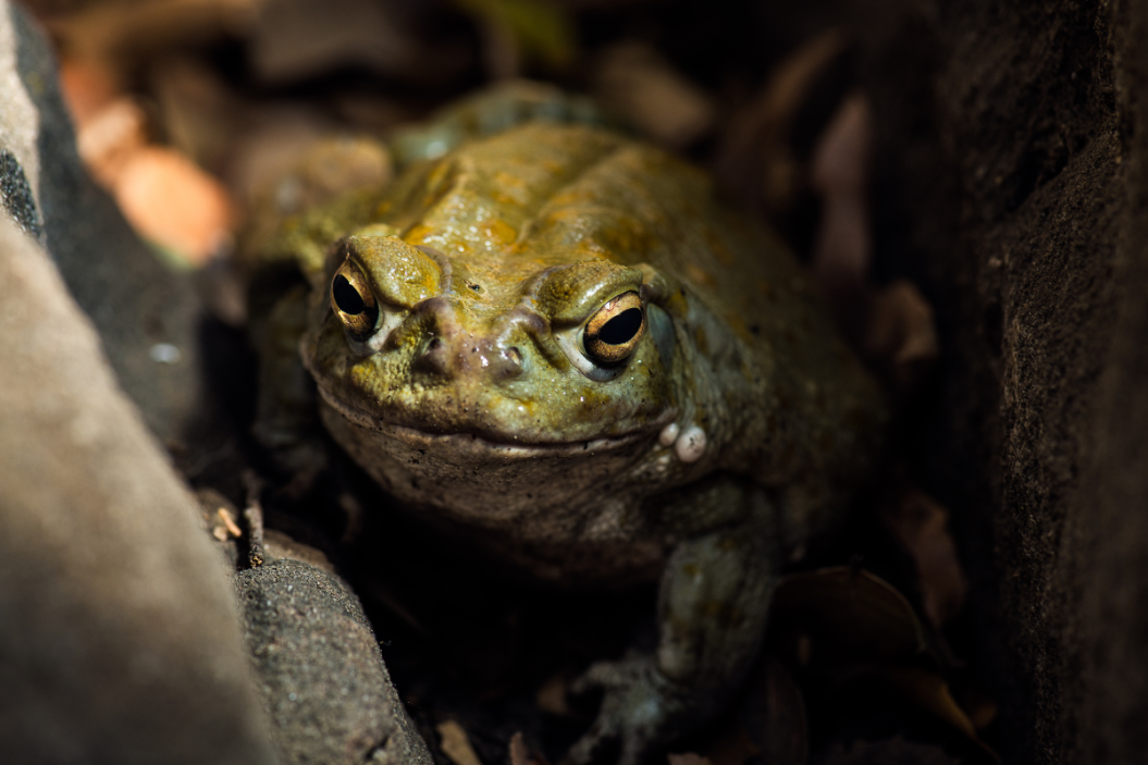 NPS Reminds Park Visitors: 