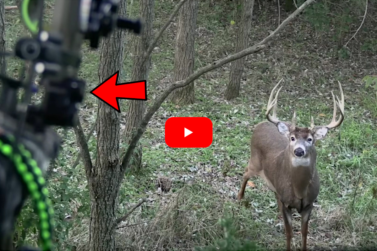 Hunter Draws 200-Inch Iowa Buck in For the Shot With a Snort Wheeze ...