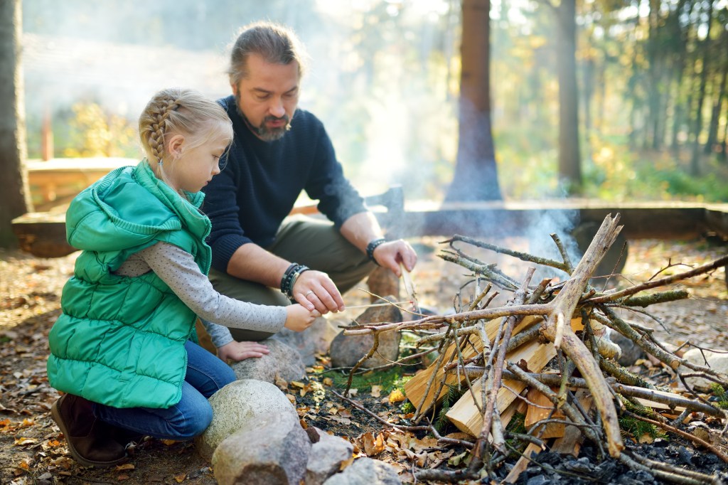 5 Ways Pine Trees Can Help You Survive in the Wilderness - Wide Open Spaces