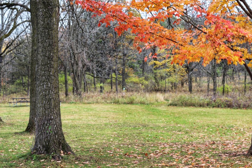 7 Cool State Parks Near Chicago Worth Visiting This Summer