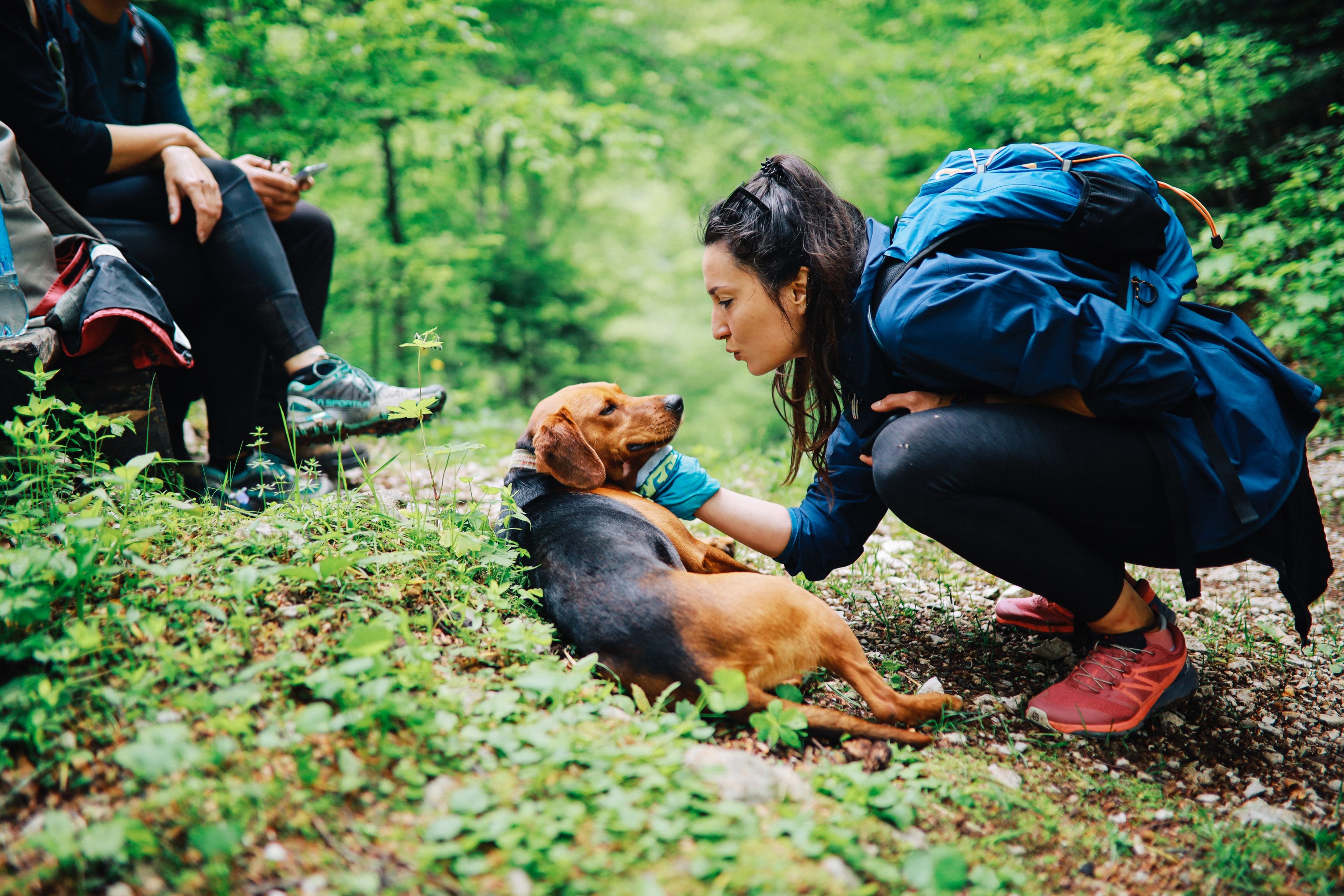 dog-first-aid-kit-16-essentials-for-hiking-and-camping-from-a-vet