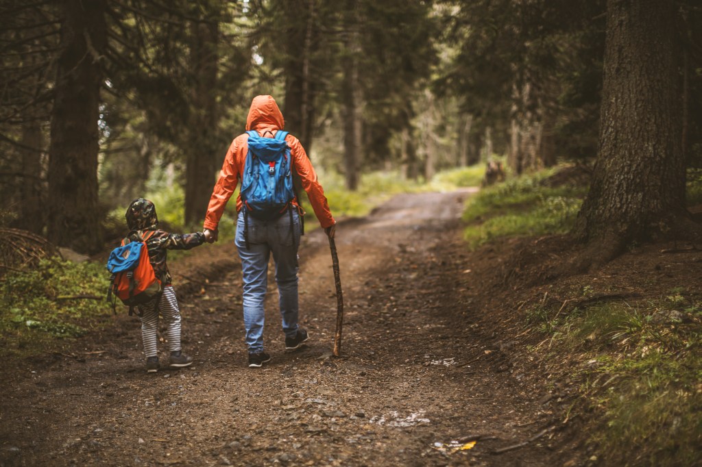 8 Fun And Engaging Wilderness Skills To Teach To Kids While Camping