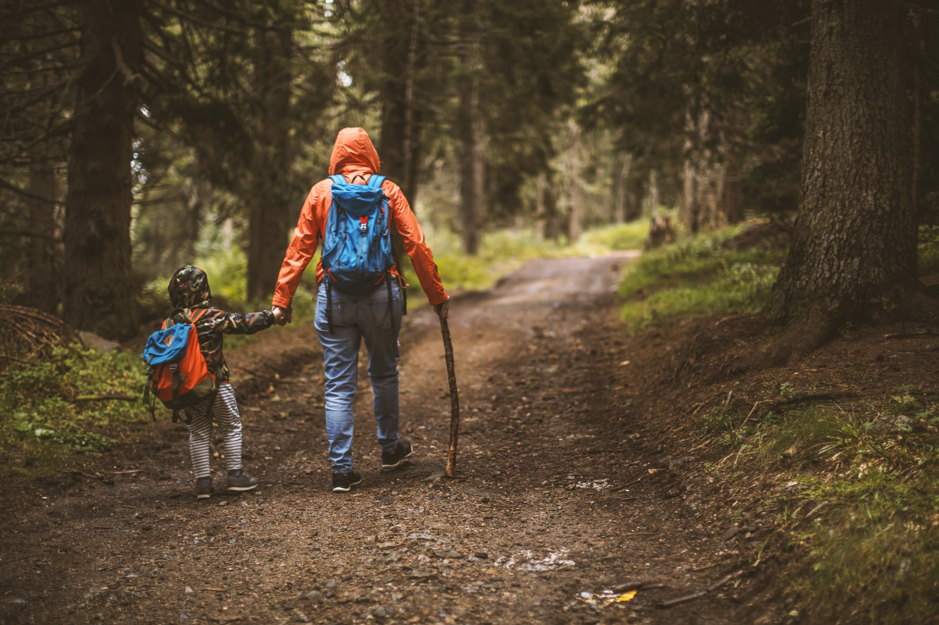 8 Fun and Engaging Wilderness Skills to Teach to Kids While Camping