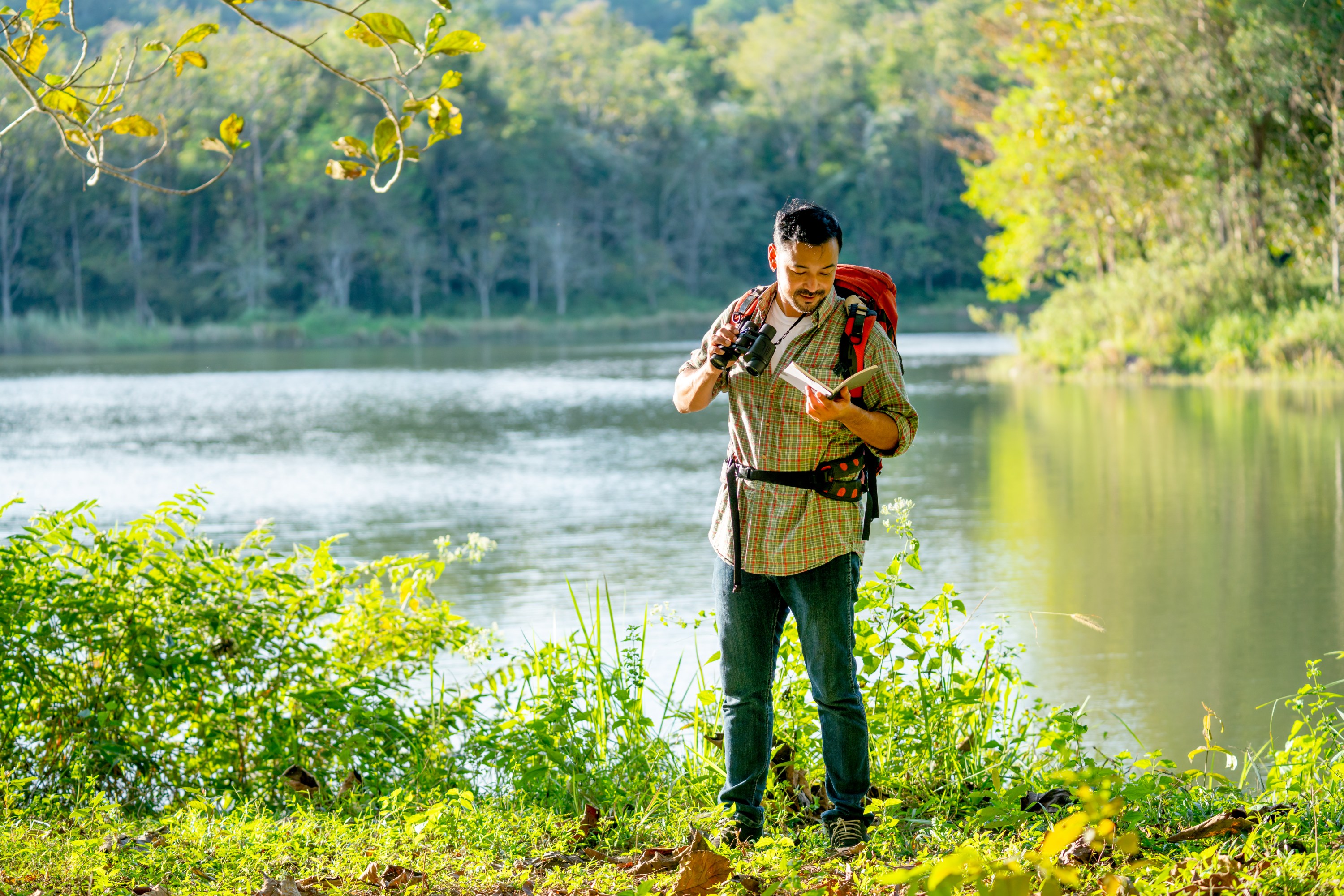 A Beginners Guide To Birdwatching Advice From Experts On Birding 7436