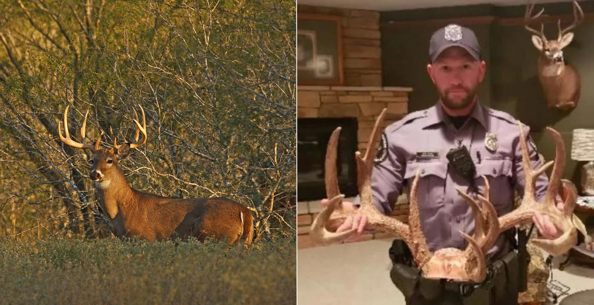 Wisconsin Poacher Sentenced for Shooting Trophy Buck at Home