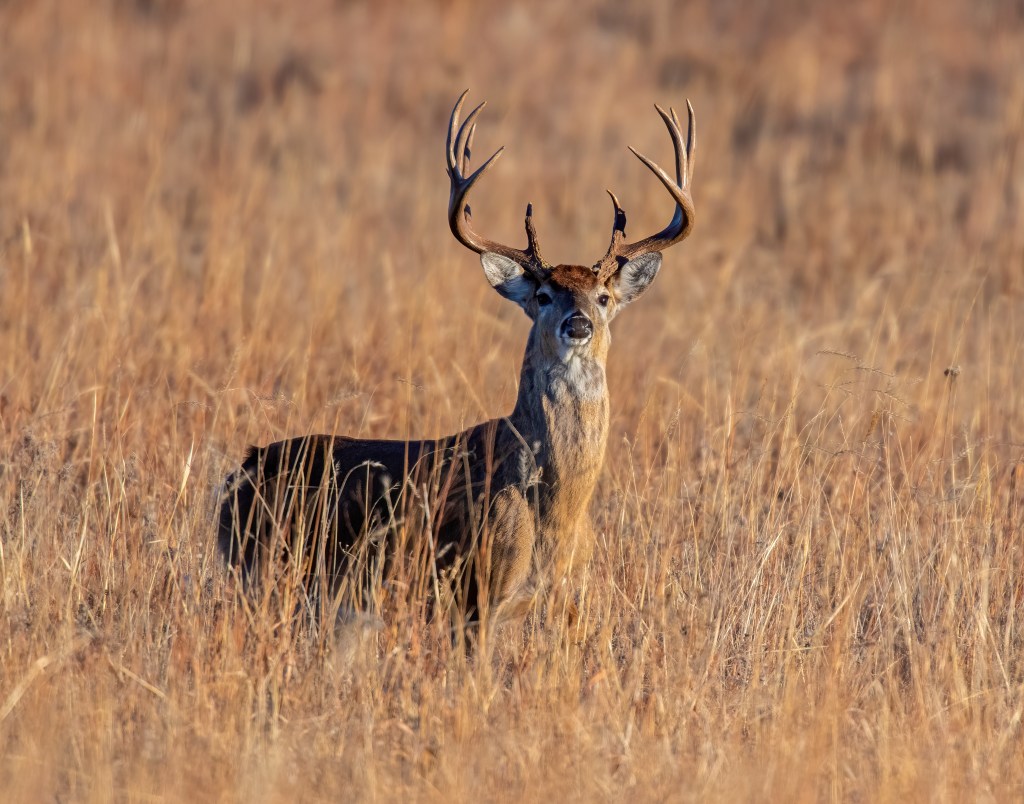 UAFishPhoto - Wide Open Spaces