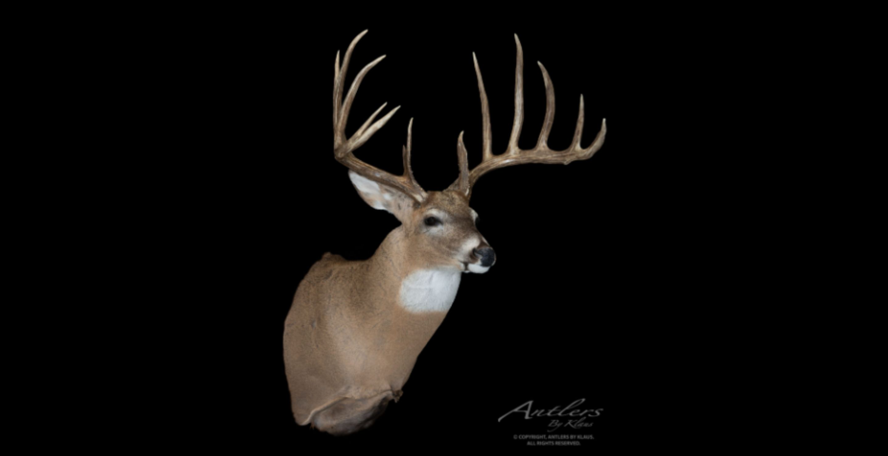 The Milo Hanson Buck: The Story The World-Record Buck