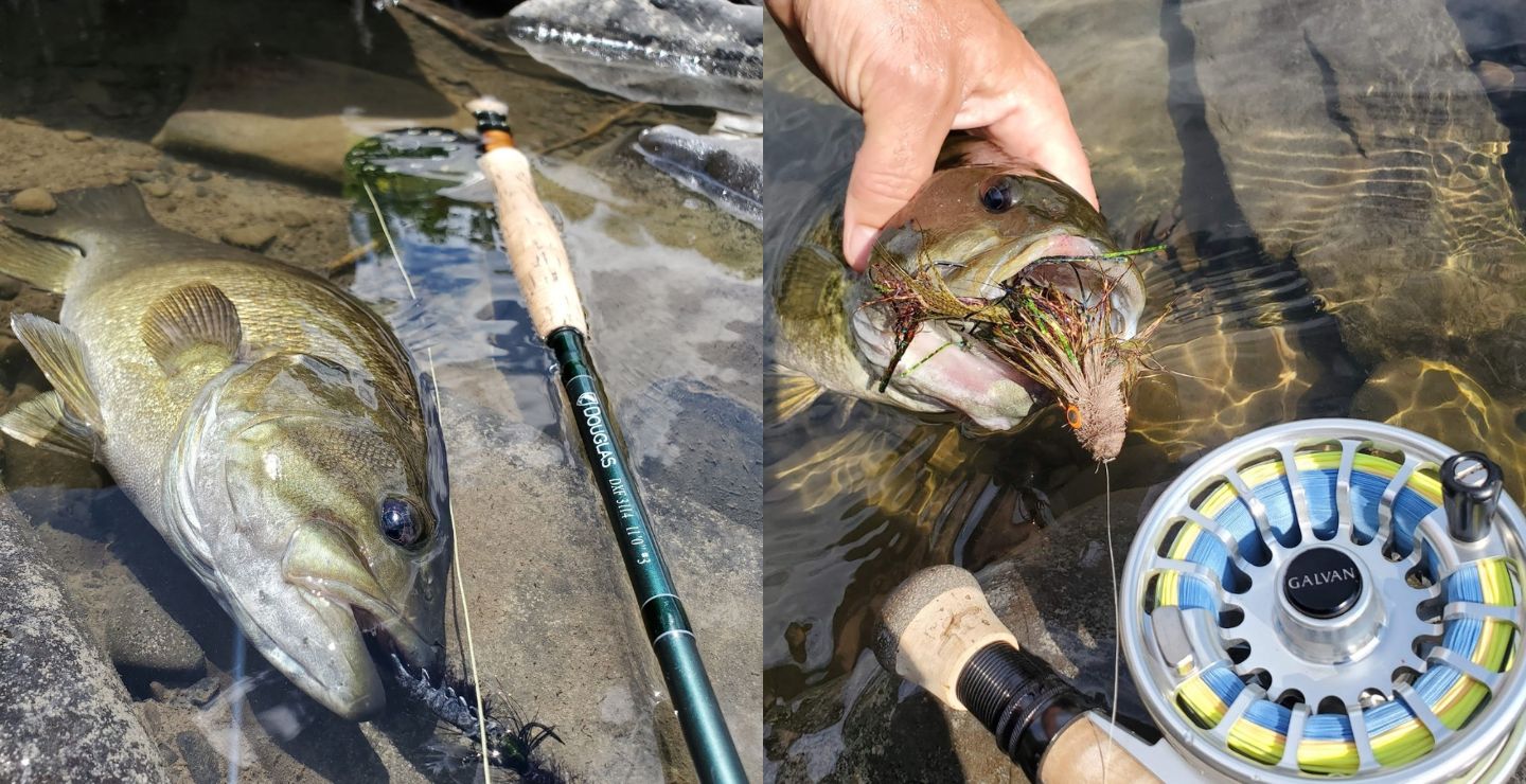 Precision casting for picky freshwater bass with fast action rods