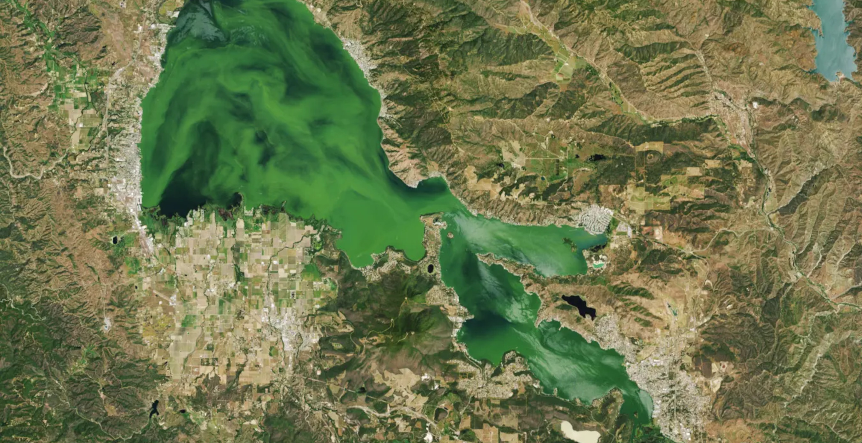 California Lake So Infested With Deadly Algae That It Can Be Seen From Space