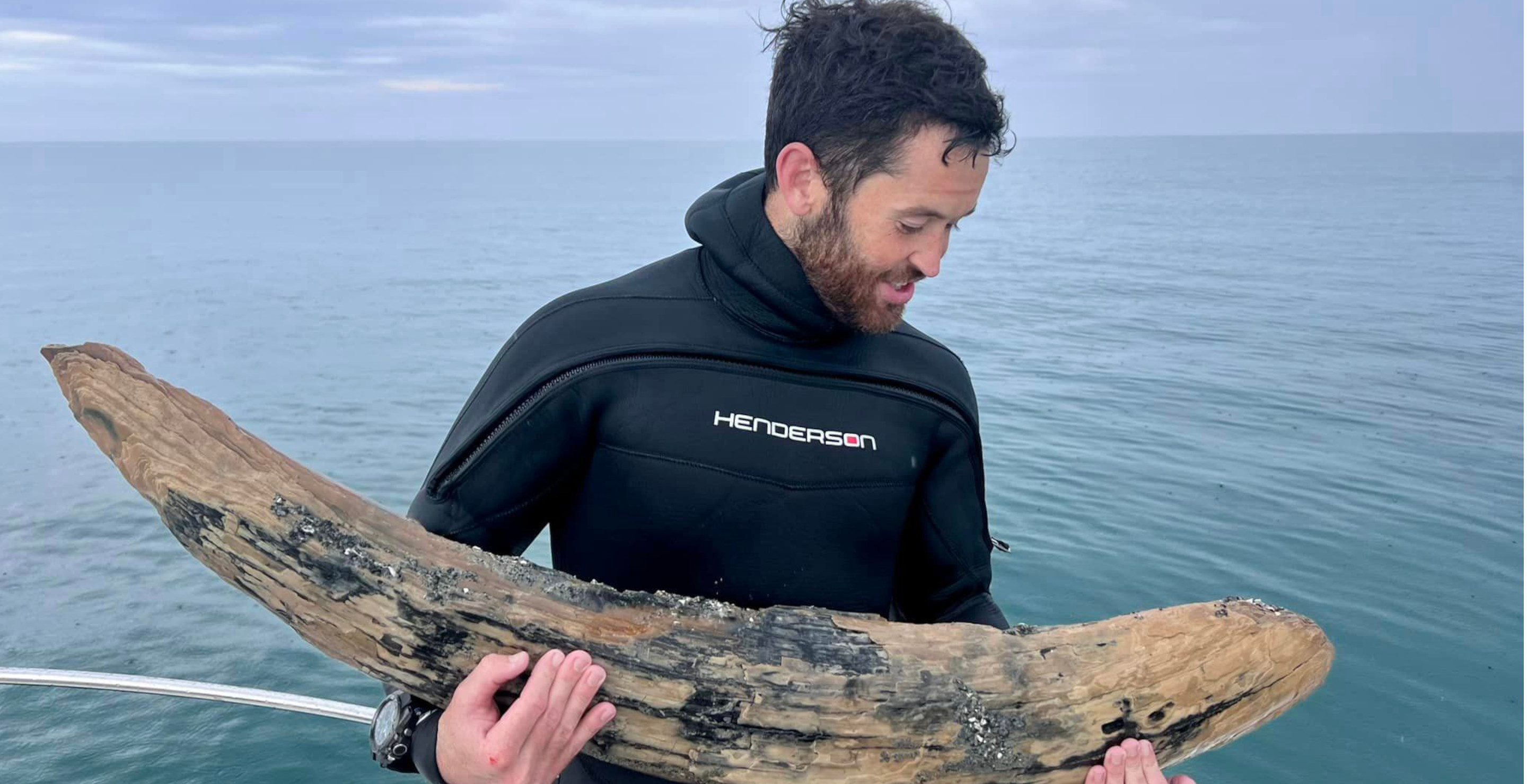 Diver Discovers Million Year Old Fossil Off The Coast Of Florida