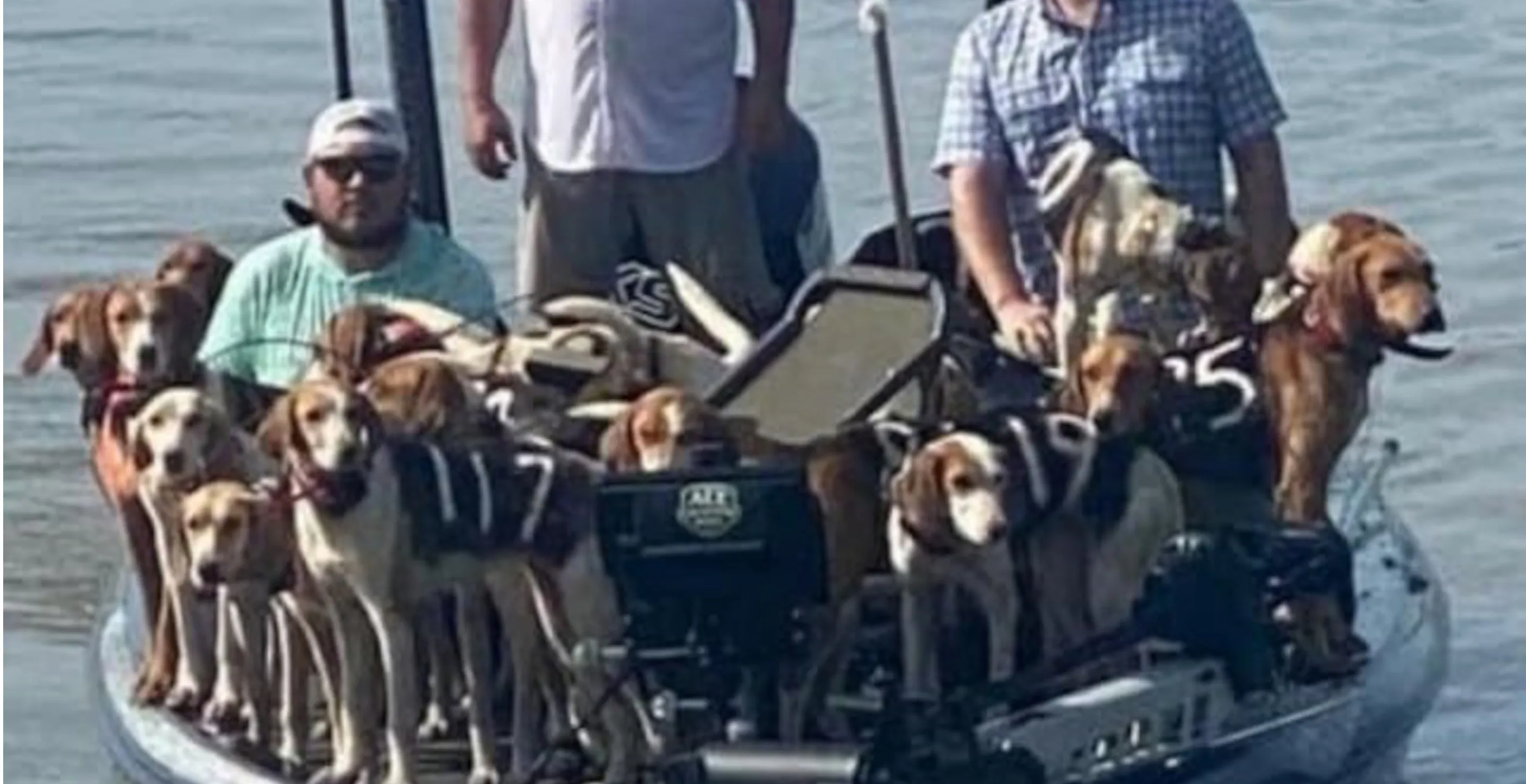 Mississippi Anglers Rescues 38 Hunting Dogs From Drowning In The Middle Of A Lake